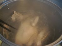 养生食谱大放送