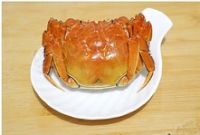 养生食谱大放送