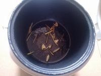 养生食谱大放送