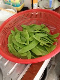 养生食谱大放送