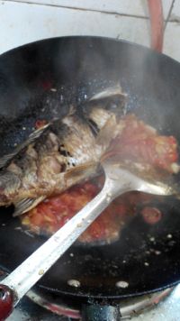 养生食谱大放送