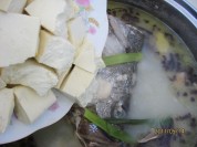 养生食谱大放送