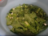 养生食谱大放送