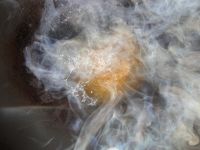 养生食谱大放送