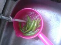 养生食谱大放送