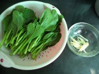 养生食谱大放送