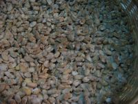 养生食谱大放送