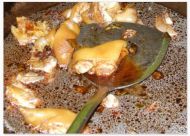 养生食谱大放送