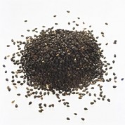 养生食谱大放送