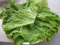 养生食谱大放送