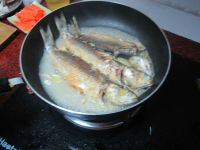 养生食谱大放送