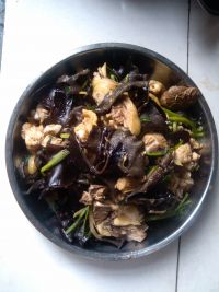 养生食谱大放送