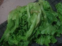 养生食谱大放送