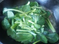 养生食谱大放送