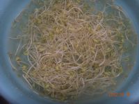 养生食谱大放送