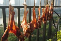 养生食谱大放送