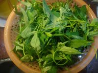 养生食谱大放送