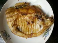 养生食谱大放送