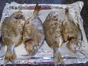 养生食谱大放送