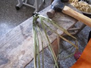 养生食谱大放送