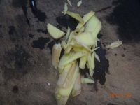 养生食谱大放送