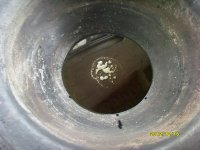 养生食谱大放送