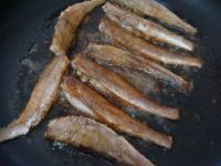 养生食谱大放送