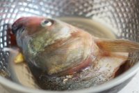 养生食谱大放送