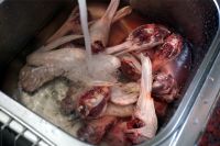 养生食谱大放送