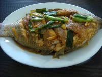 养生食谱大放送