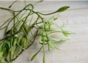 养生食谱大放送