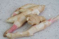 养生食谱大放送