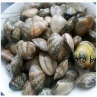 养生食谱大放送