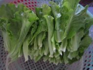 养生食谱大放送