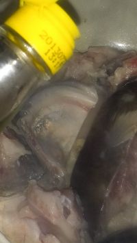 养生食谱大放送