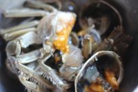 养生食谱大放送