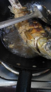 养生食谱大放送