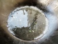 养生食谱大放送