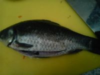 养生食谱大放送