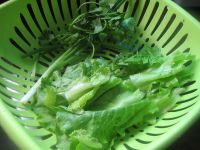 养生食谱大放送