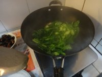 养生食谱大放送