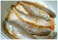 养生食谱大放送