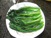 养生食谱大放送