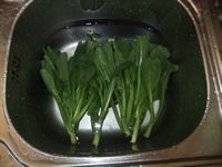 养生食谱大放送