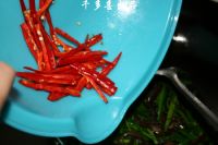 养生食谱大放送