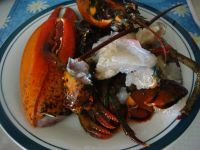 养生食谱大放送