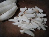 养生食谱大放送