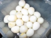 养生食谱大放送