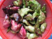 养生食谱大放送