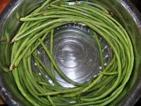 养生食谱大放送